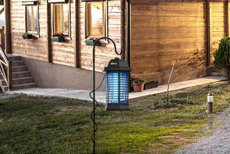 Backyard Peace Restored: 14 Simple Tricks to Keep Insects Away