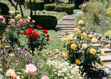 微信图片_20260114112753_308_10